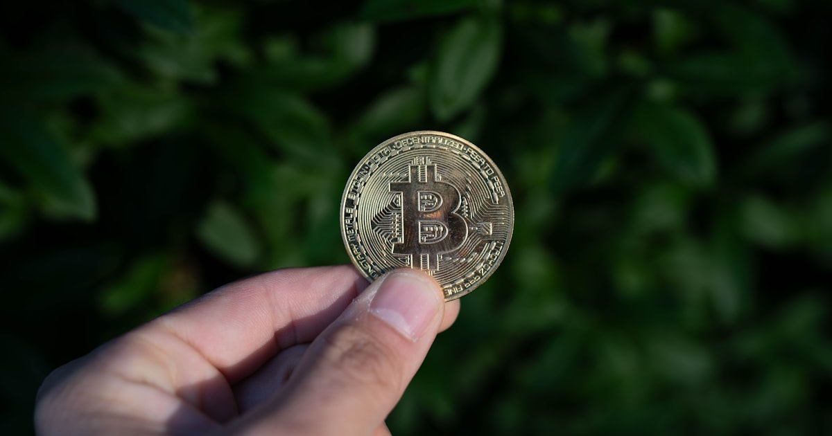 A hand holds a bitcoin coin.