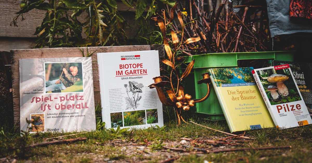 a group of books and a plant