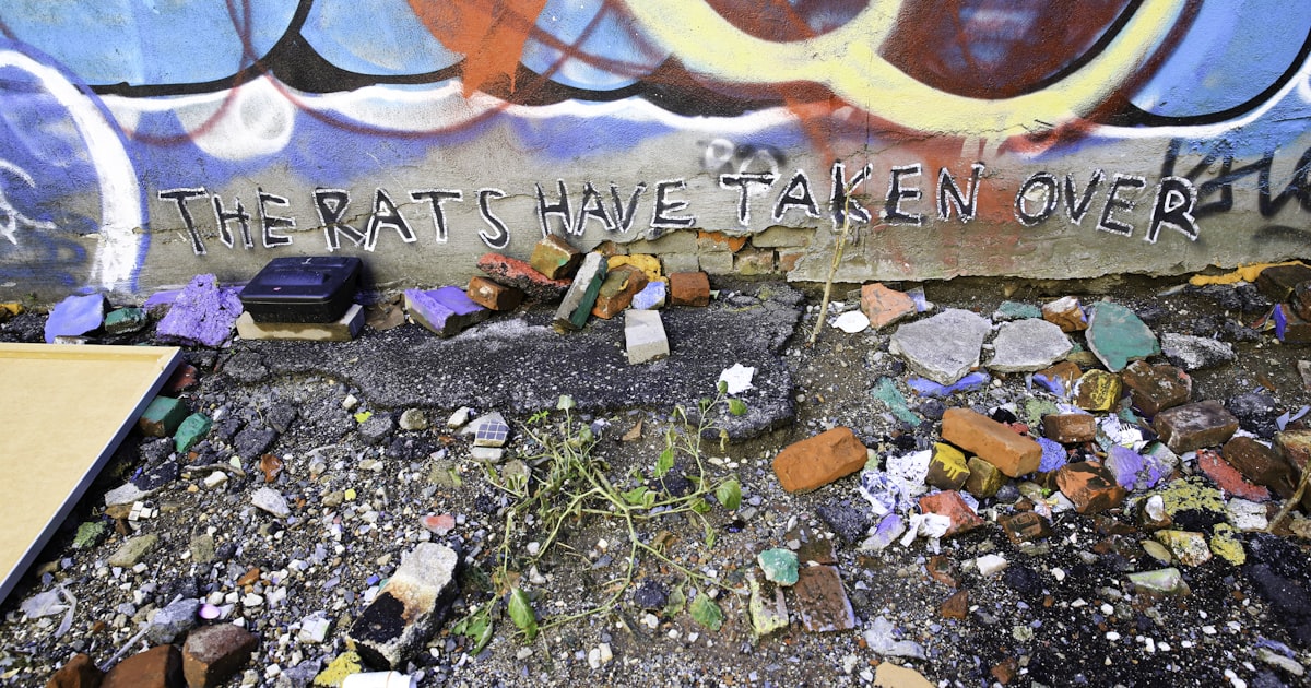 Graffiti on a wall above debris and urban decay.
