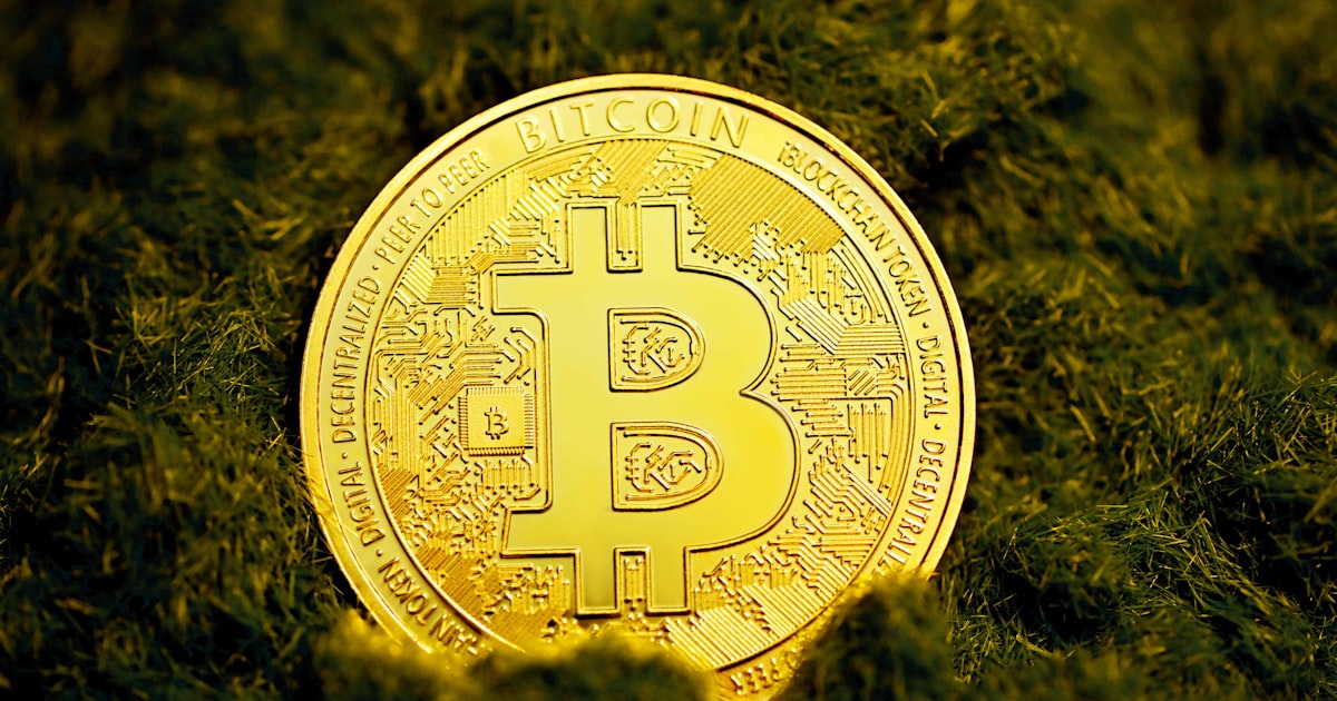 gold round coin on green grass