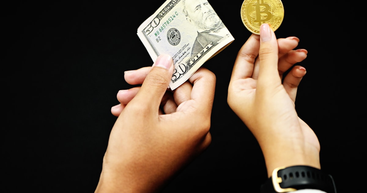 person holding 20 us dollar bill