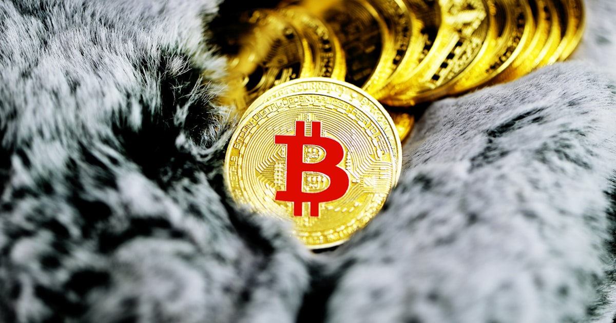 gold and silver round coins