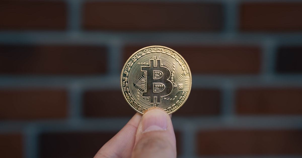A hand is holding a bitcoin coin.