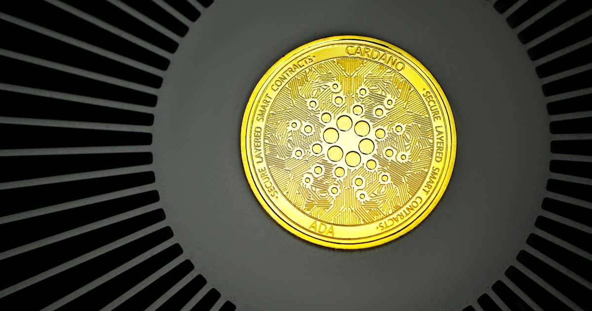 gold round wall decor on white wall