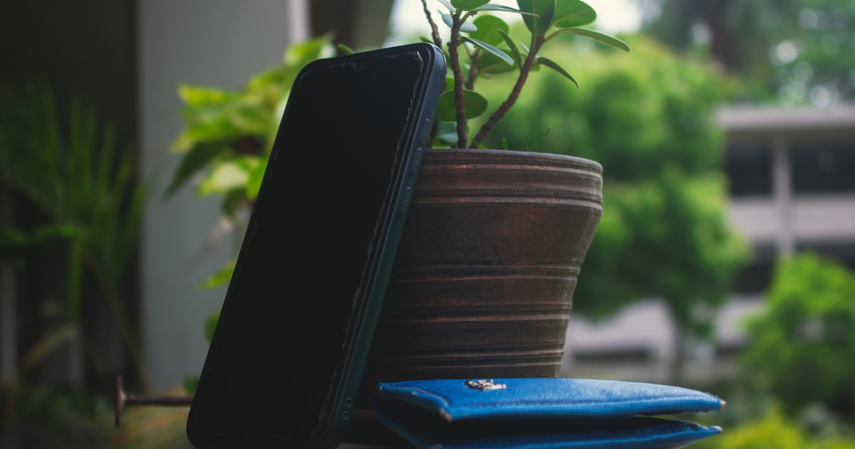 a plant in a pot