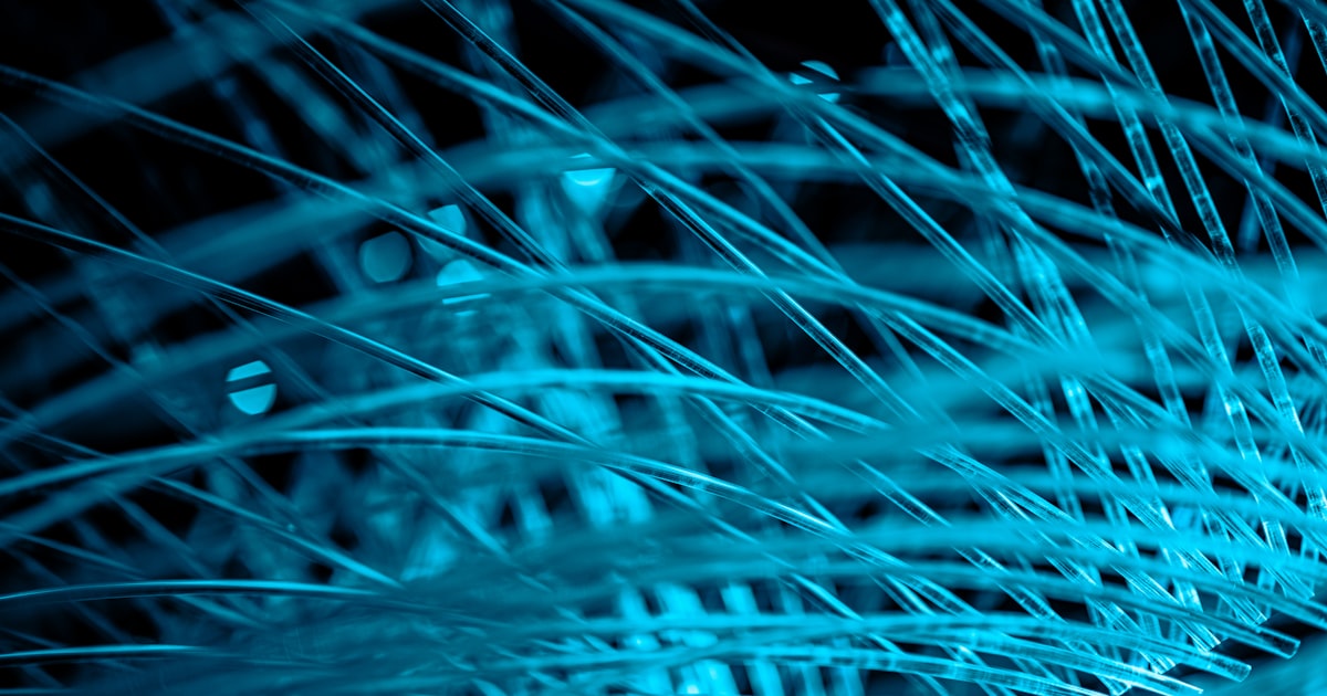 a close up of a blue feather on a black background