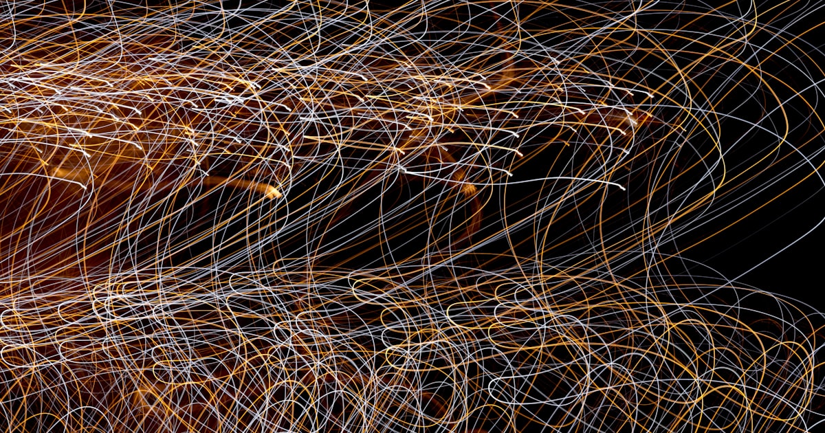 a close up of a bunch of wheat