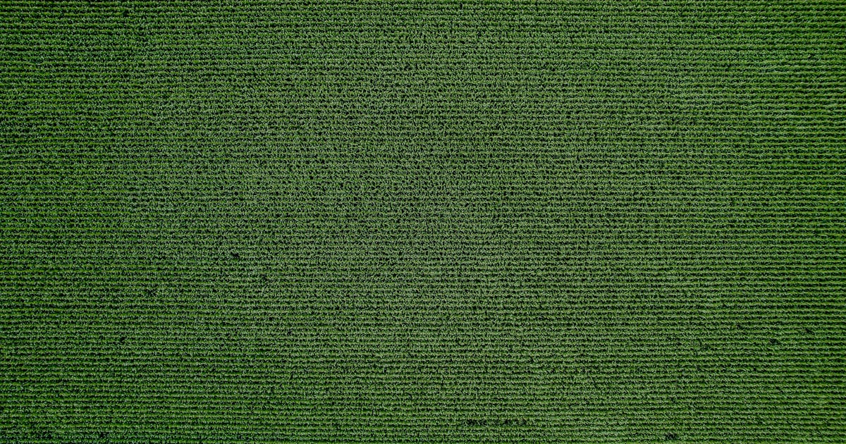 An aerial view of a baseball field with grass