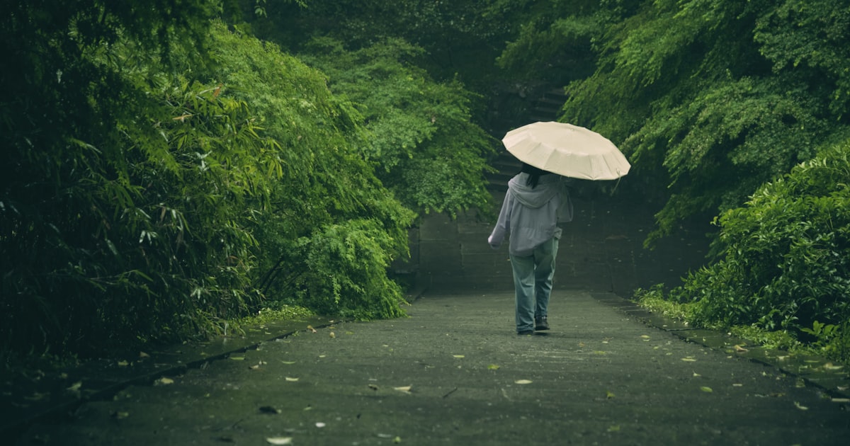 Person walks in the rain through lush greenery.