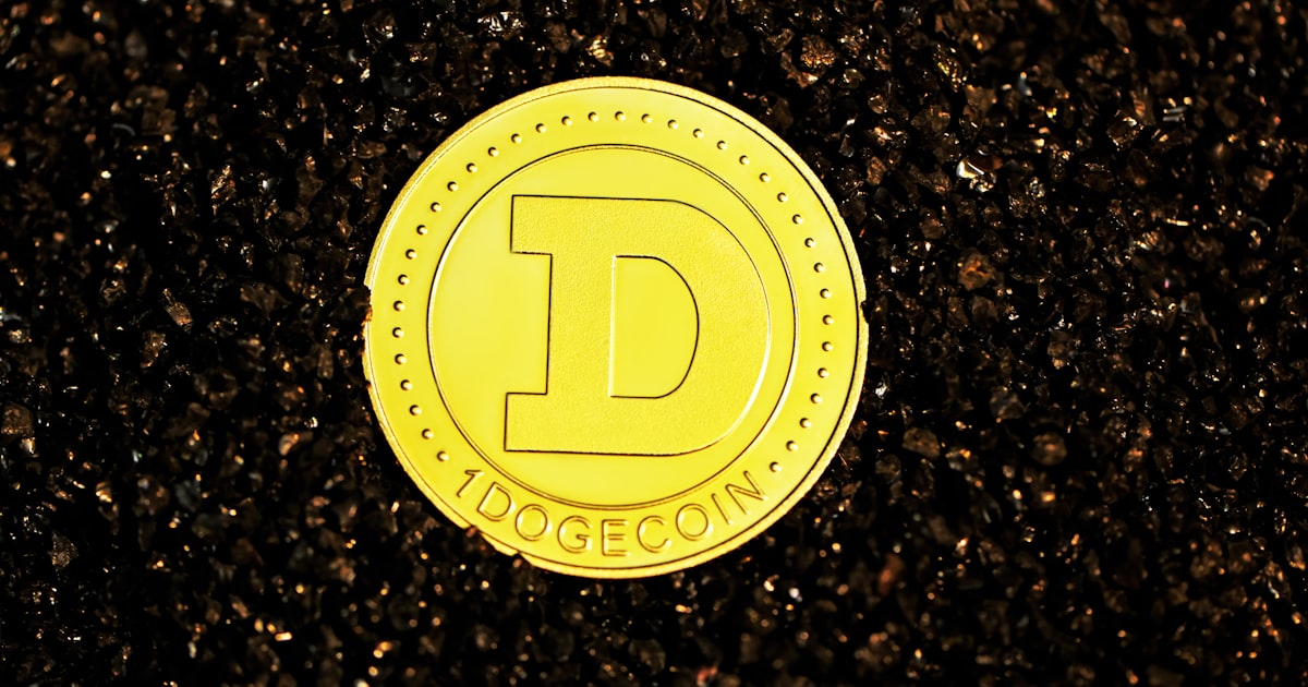 yellow and black 2 round plate