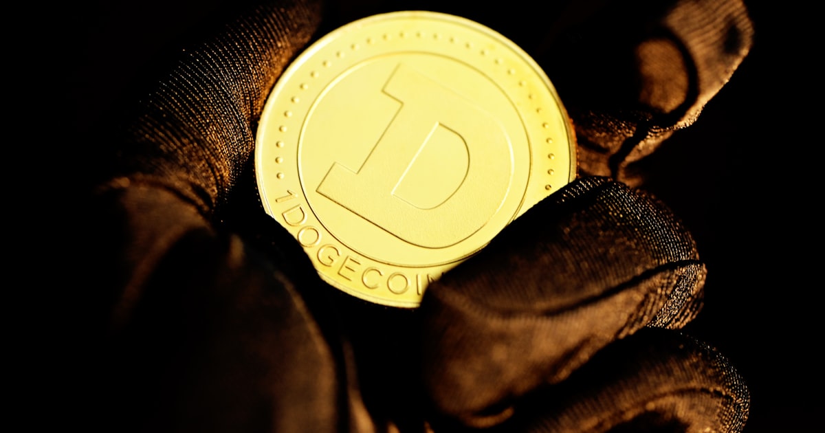 black and brown leather textile