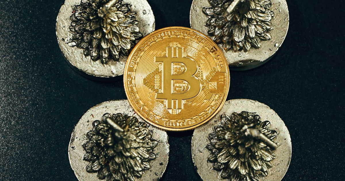 a bit coin sitting on top of some rocks