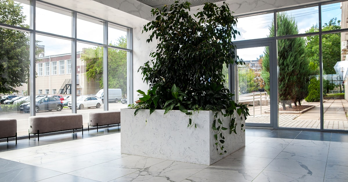 a planter in a room with glass walls and a large window