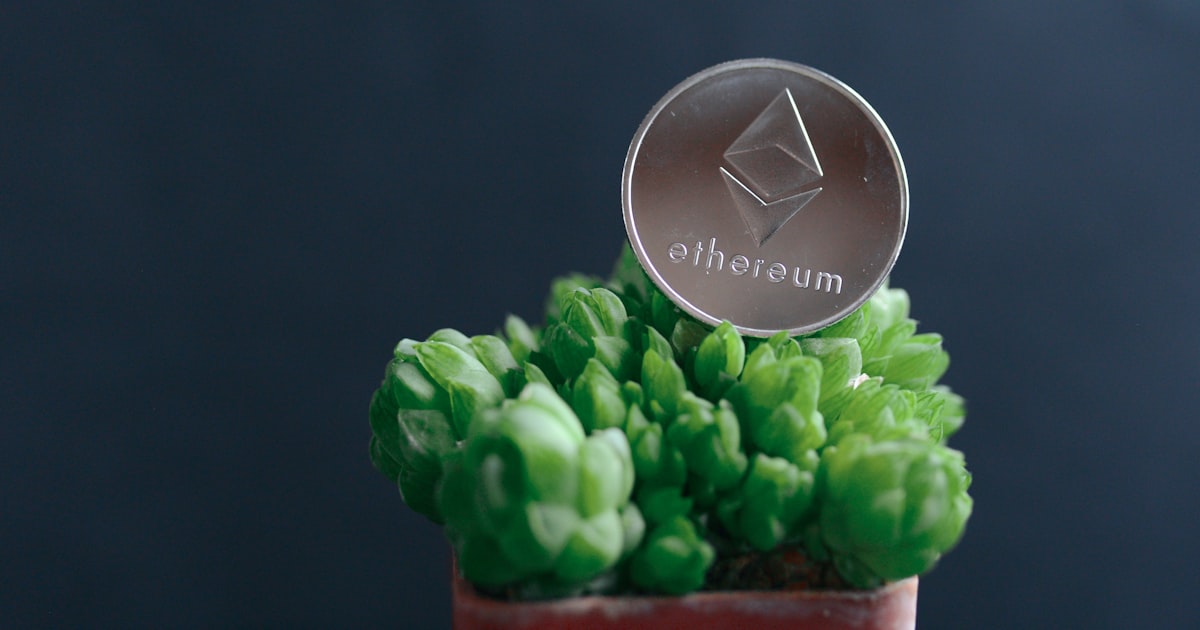 a small potted plant with a silver coin on top of it