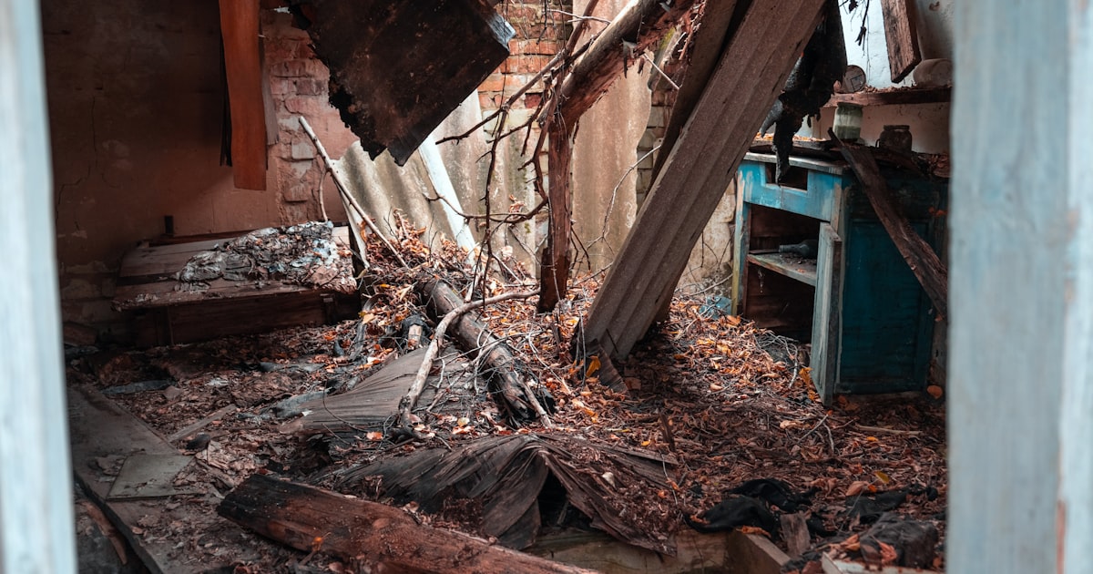 brown wooden house near brown tree branches
