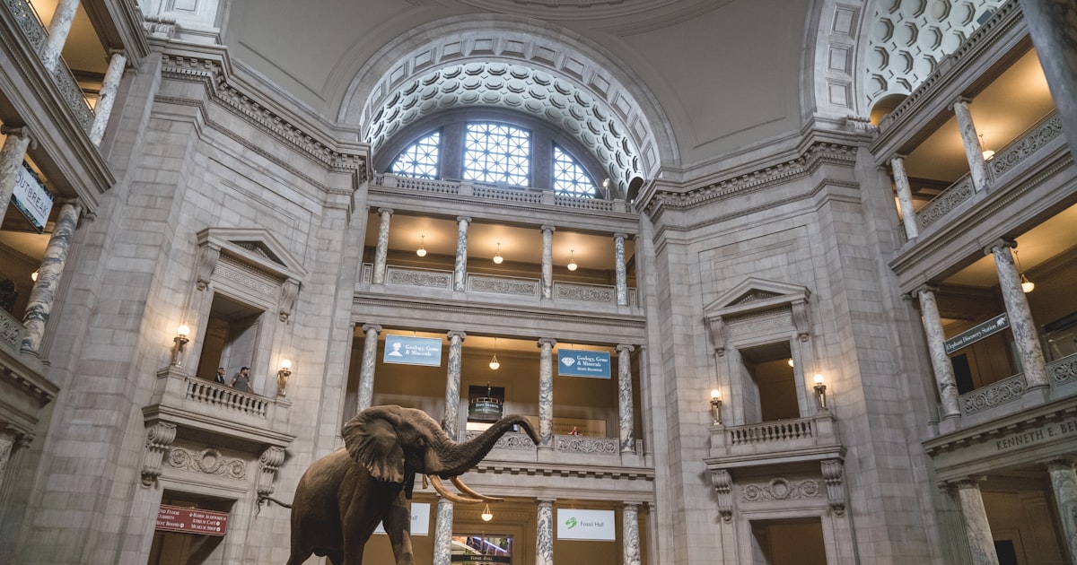 gray elephant statue