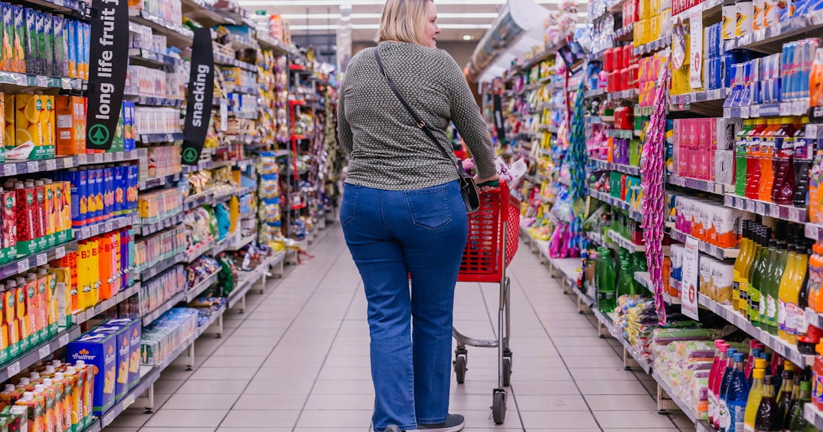 a person pushing a shopping cart in a store