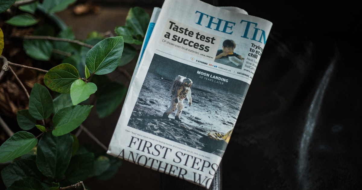 newspaper on green plant