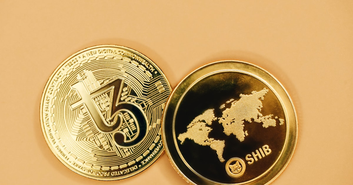 a close up of a coin with a map on it