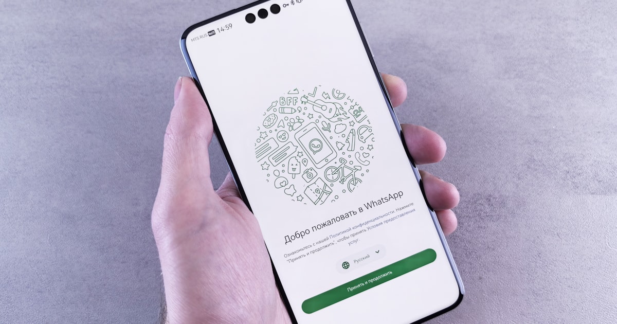 A hand holds a phone with a whatsapp screen.