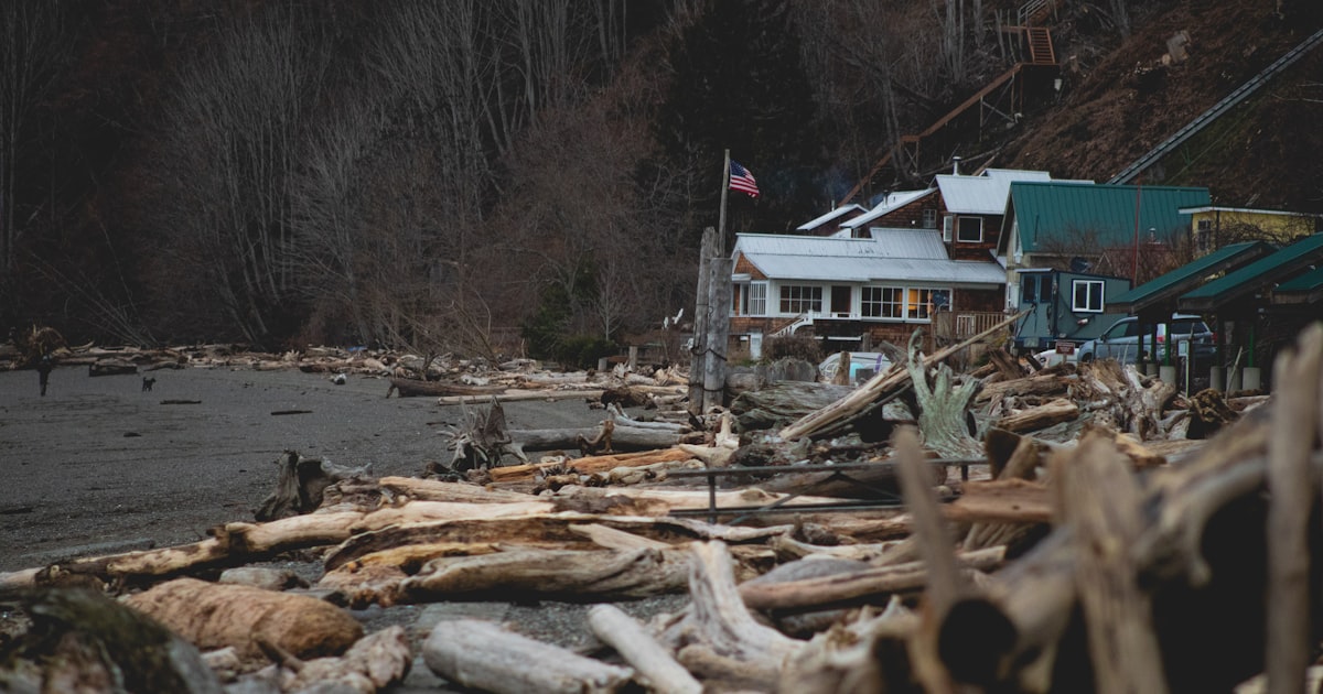 a bunch of driftwood sitting on the side of a road