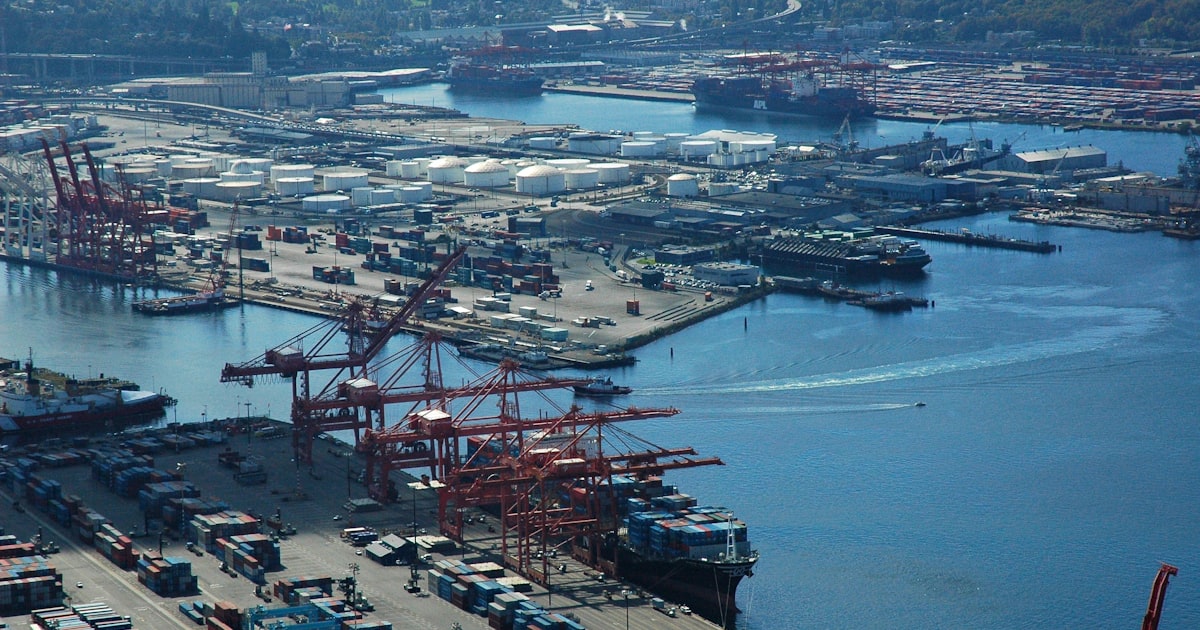 aerial photography of harbor
