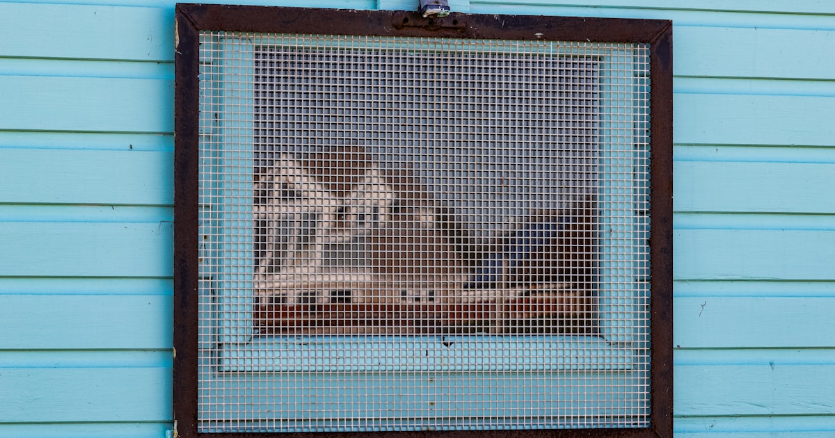 A blue building with a window and a sign on it