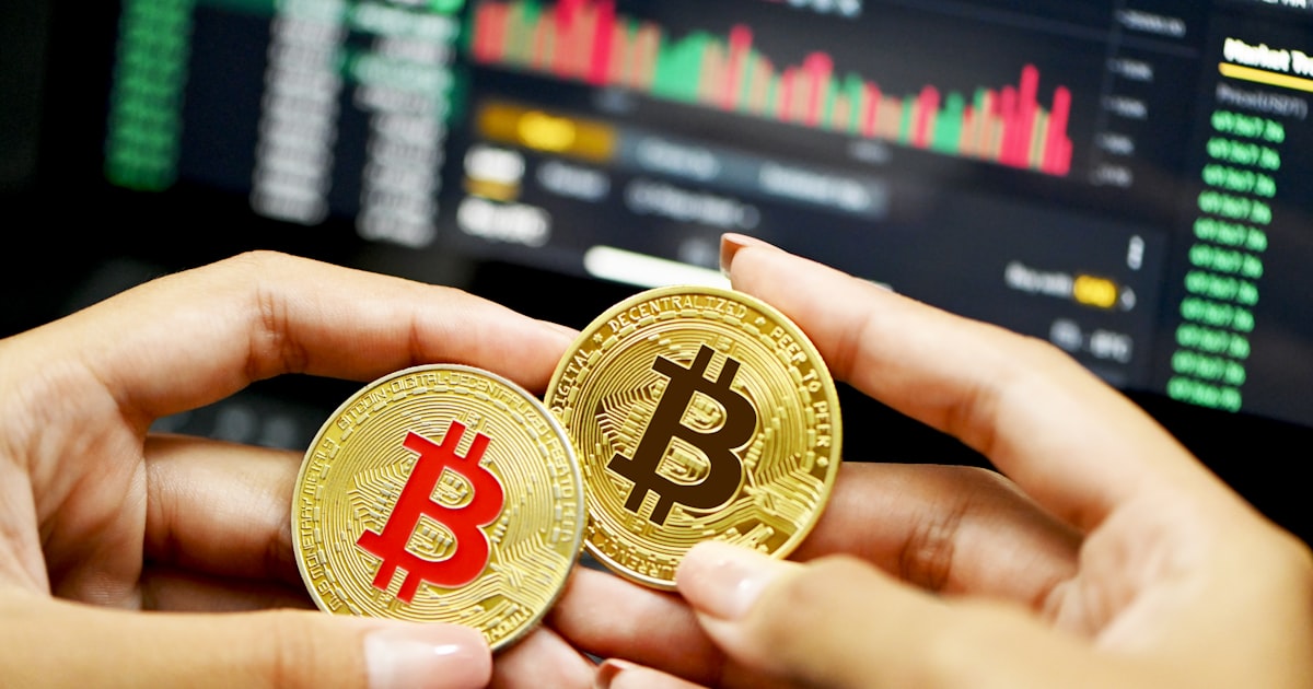 person holding gold round coin