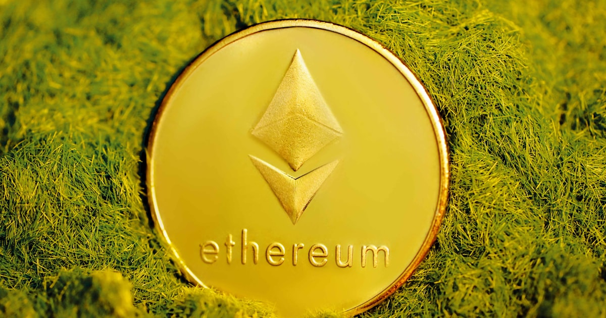 gold colored star on green grass
