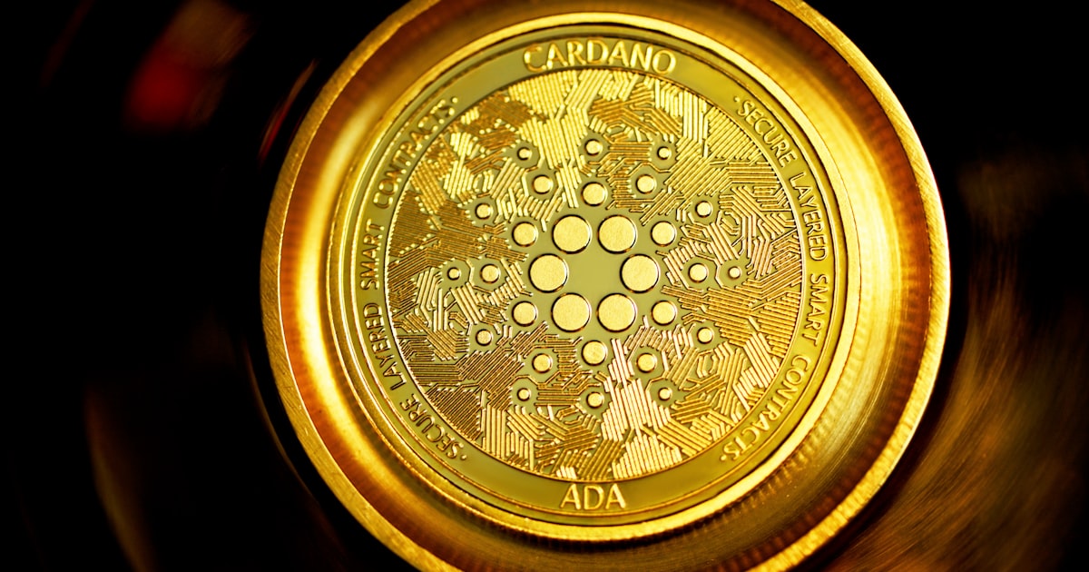 gold round coin on black surface