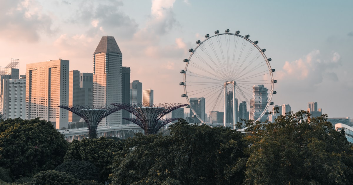 a ferris wheel in front of a city skyline