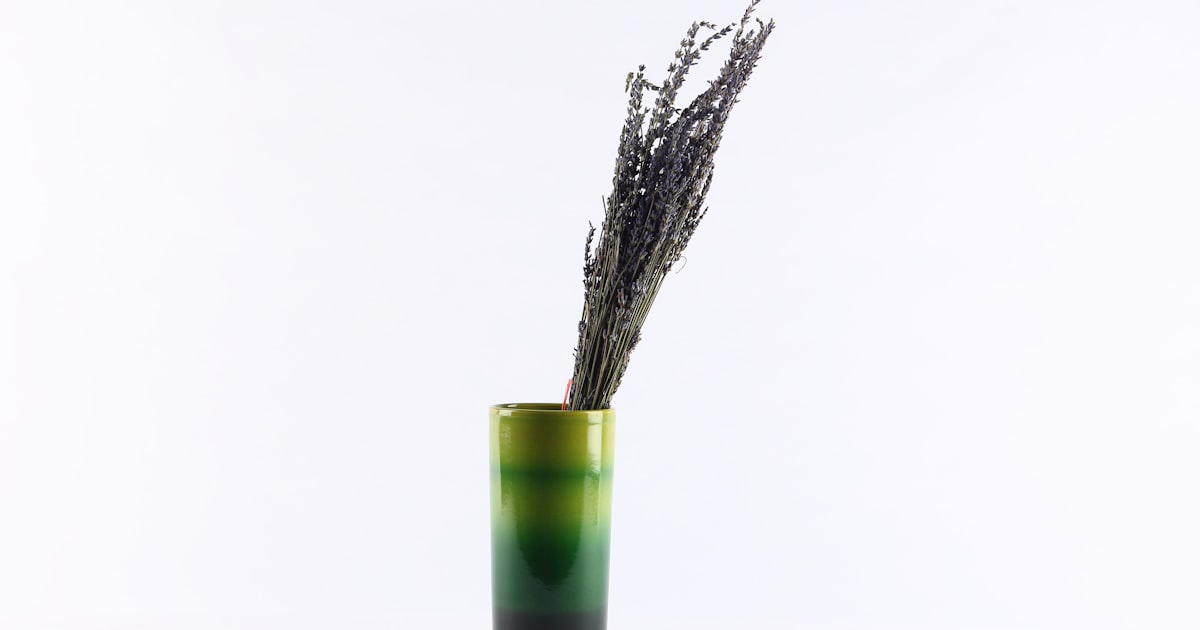 green and black vase with brown plant