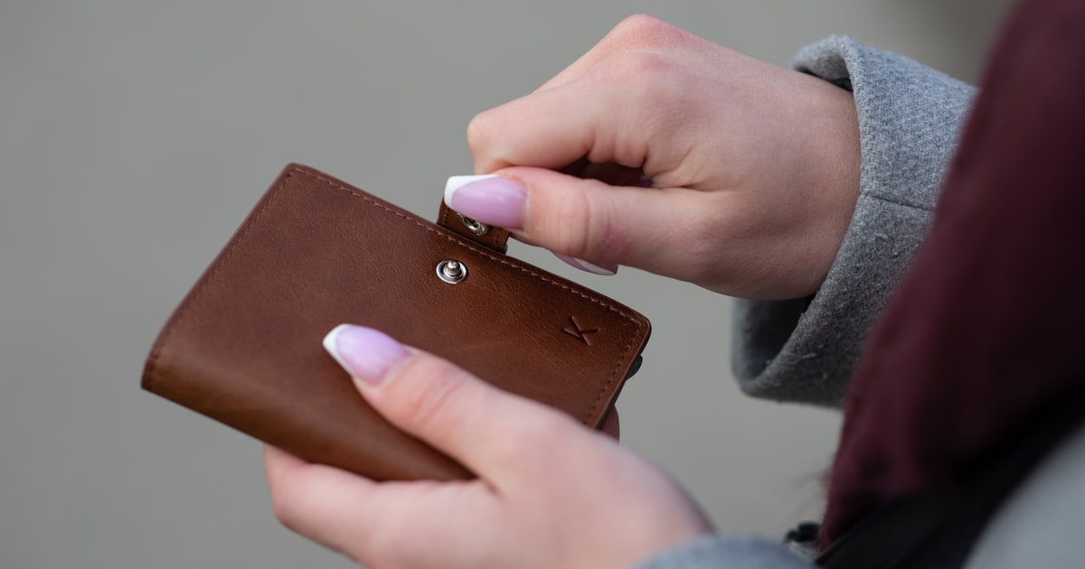 person holding brown leather wallet