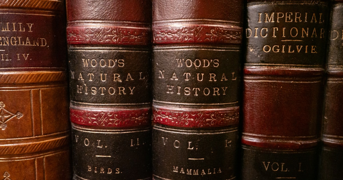 A row of books sitting on top of a shelf