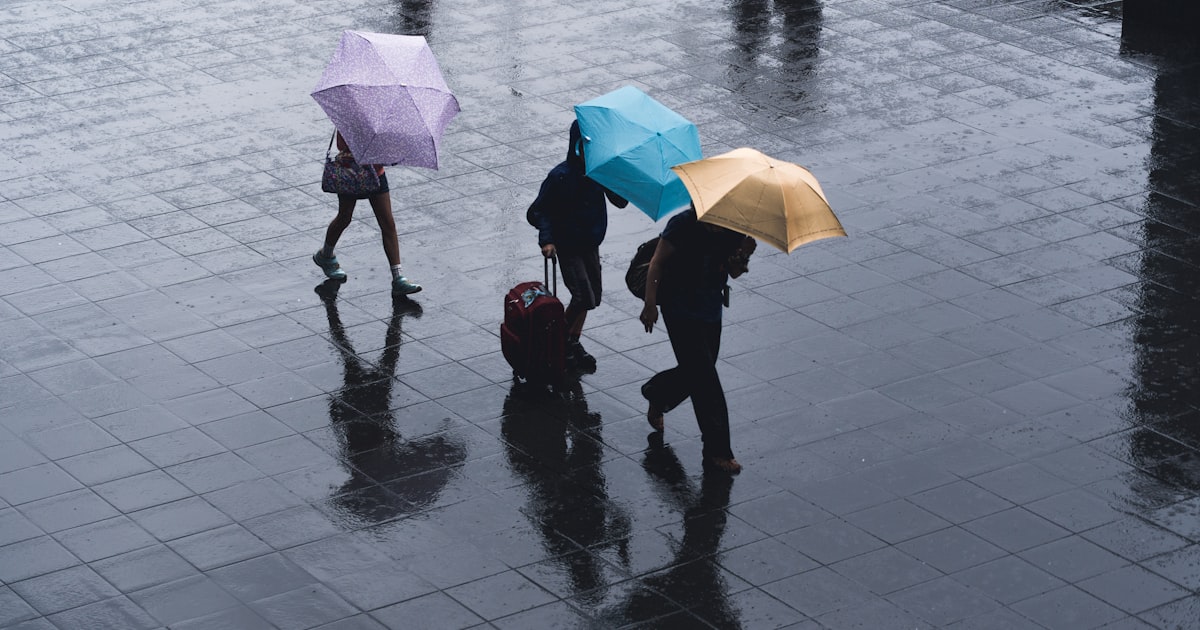 selective color photography of three person holding umbrellas under the rain