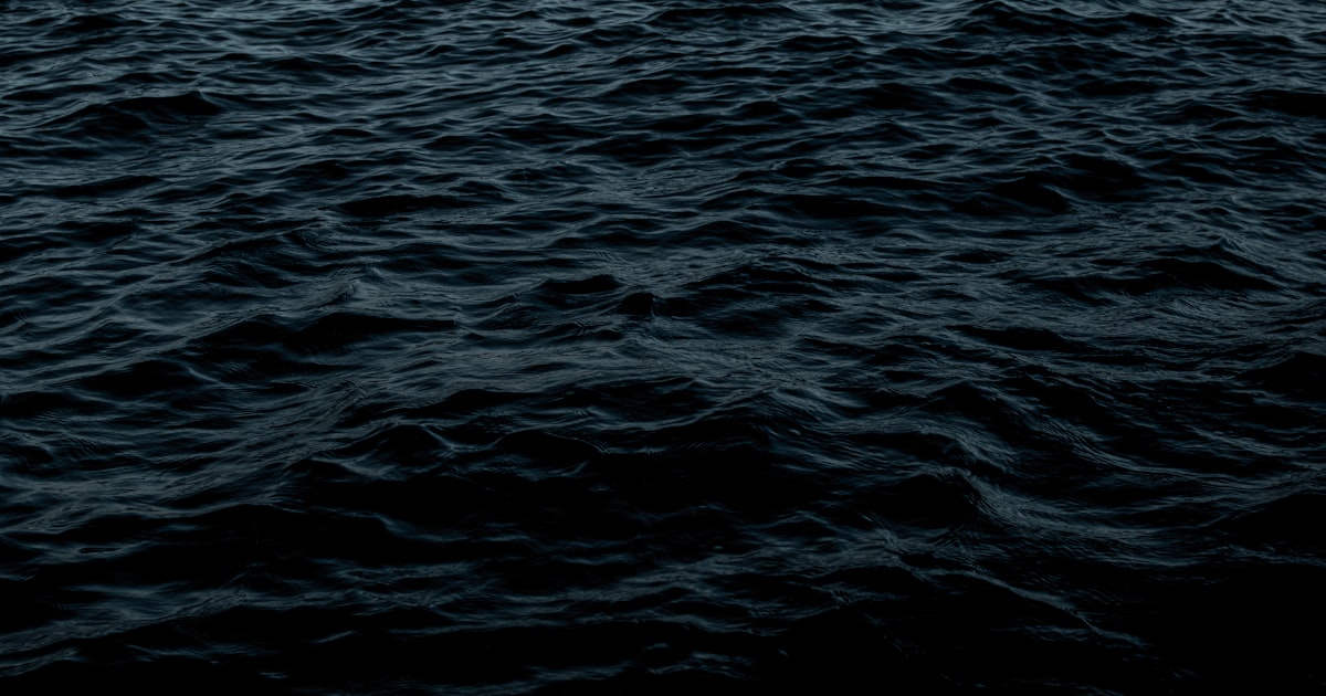 shallow focus photo of body of water