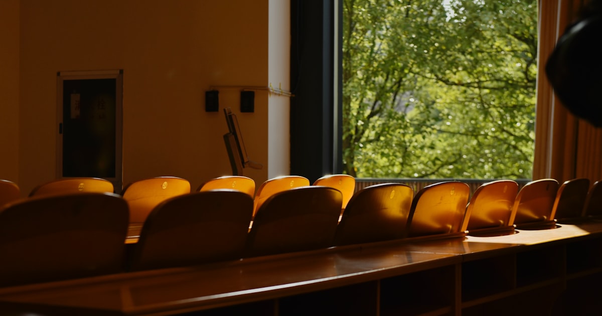 Empty classroom seats overlook a tree.