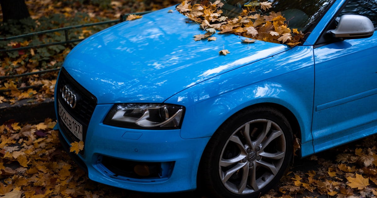 a blue car parked on a leaf covered street