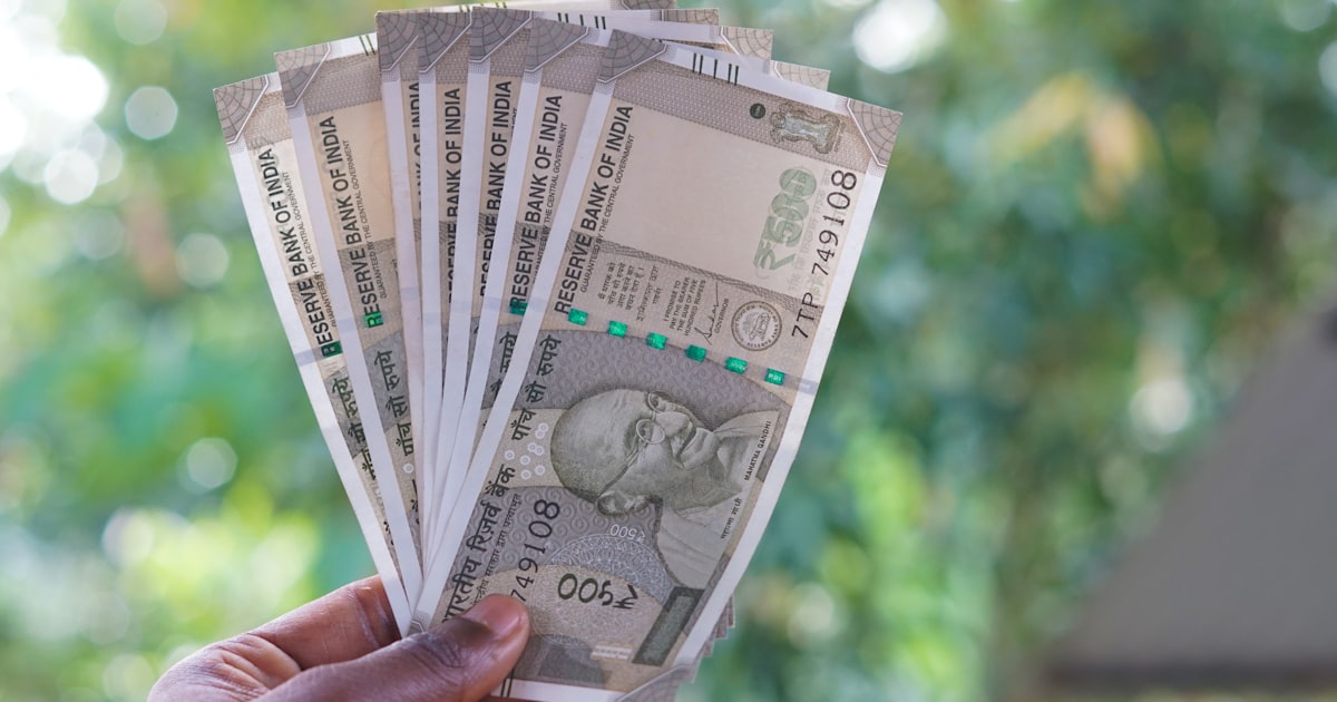 A person holding a bunch of money in their hand