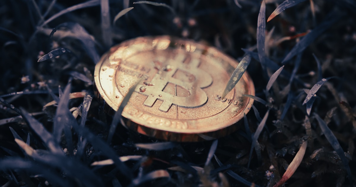 a bitcoin sitting on top of a pile of grass
