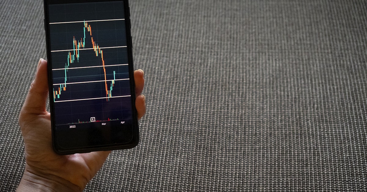 a person holding a cell phone with a chart on it