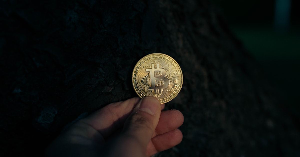 A hand holds a gold bitcoin.