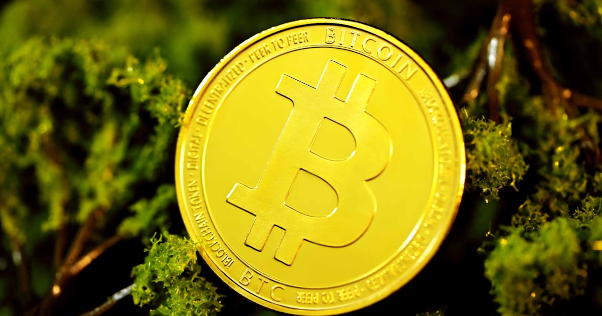 gold round coin on green grass