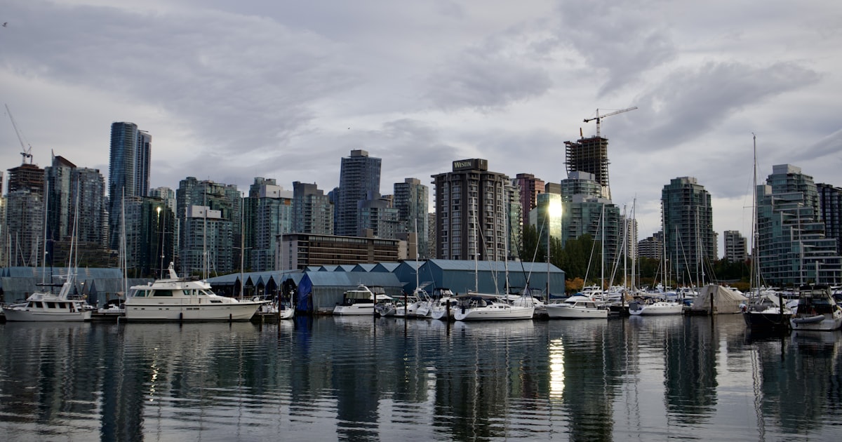 a harbor with boats and a city in the background