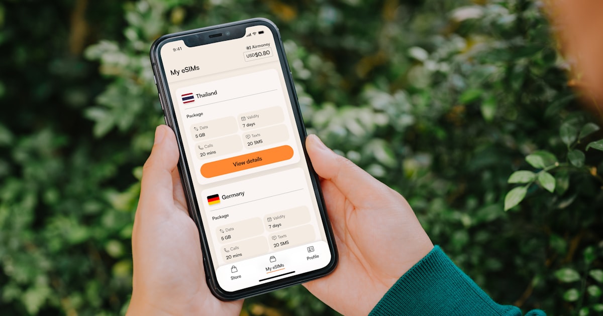 Person holding a smartphone with currency exchange app